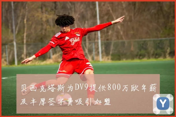 贝西克塔斯为DV9提供800万欧年薪及丰厚签字费吸引加盟