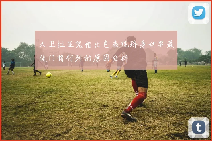 大卫拉亚凭借出色表现跻身世界最佳门将行列的原因分析